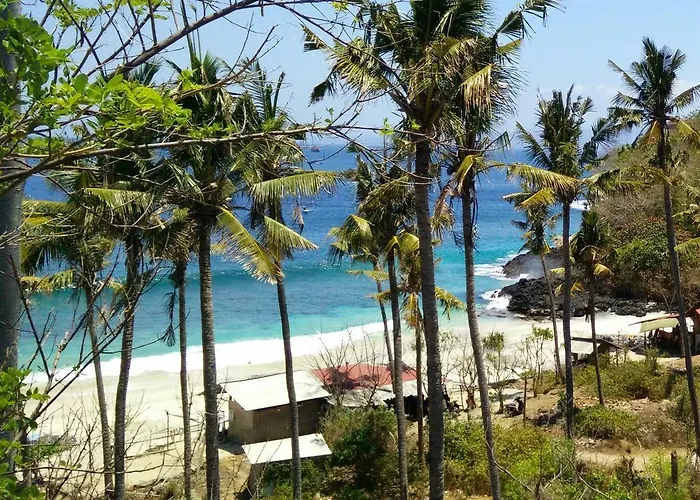 Alola